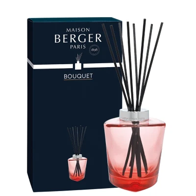 Afbeelding van Maison Berger Parfumverspreider Terra Rouge