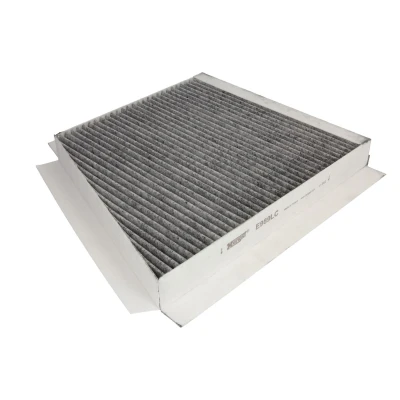 Afbeelding van HENGST filter E989LC Interieurfilter Carbon 311 254 35 MERCEDES BENZ: E Class Saloon, T modell, CLS Coupe