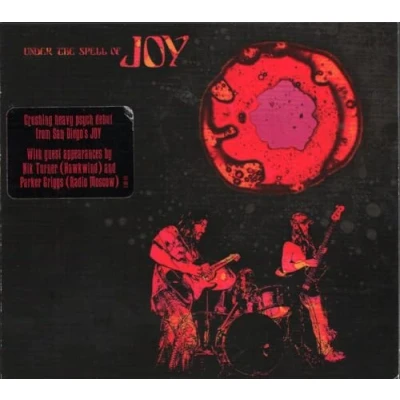 Afbeelding van Under The Spell Of Joy