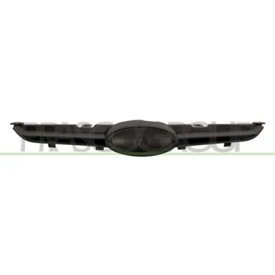 Afbeelding van PRASCO Premium FD3442001 Grille Auto FORD: FIESTA 6
