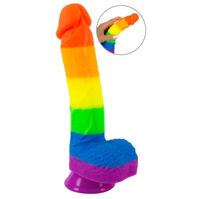 Afbeelding van Realistische Dildo PRIDE! Regenboogkleuren