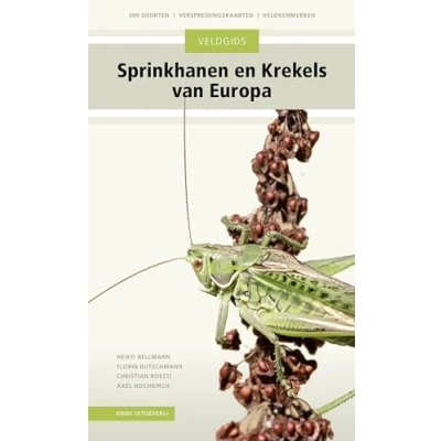 Afbeelding van Veldgids Sprinkhanen en krekels van Europa