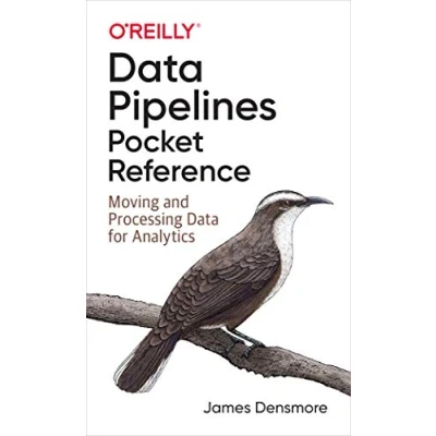 Afbeelding van Data Pipelines Pocket Reference Moving and Processing for Analytics