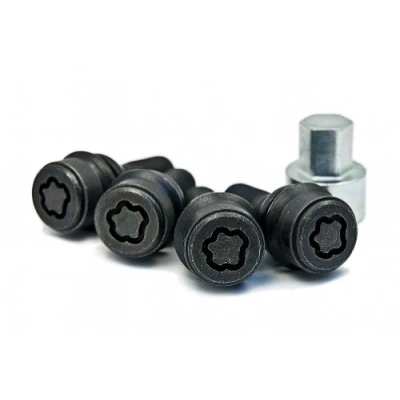 Afbeelding van BMW Backup Wiel Schroef Set (Alle F XX Bouw Series)