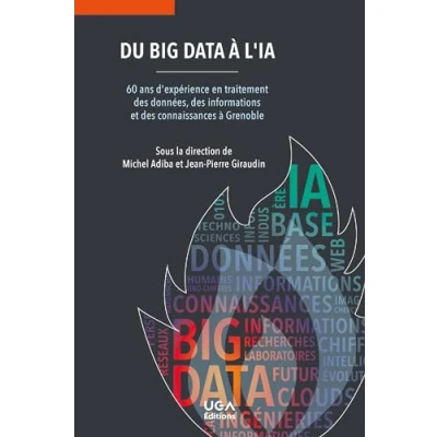 Afbeelding van DU BIG DATA A L&#039;IA 60 ANS D&#039;EXPERIENCE EN TRAITEMENT DES DON