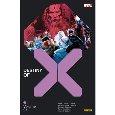 Image de Destiny of X T27