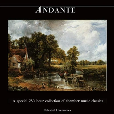 Afbeelding van Various Artists Andante. Special Collection Of Cham (2 CD)