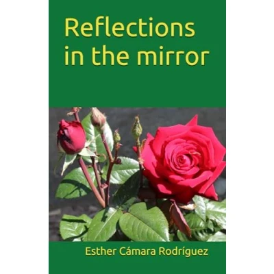 Afbeelding van Reflections in the Mirror