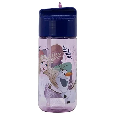 Afbeelding van Disney Frozen drinkfles 430 ml