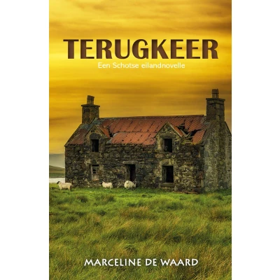 Afbeelding van Terugkeer