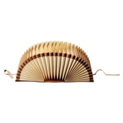 Image de Esselte leitz 56310000 trieur a4 en carton 31 compartiments 1 (marron)