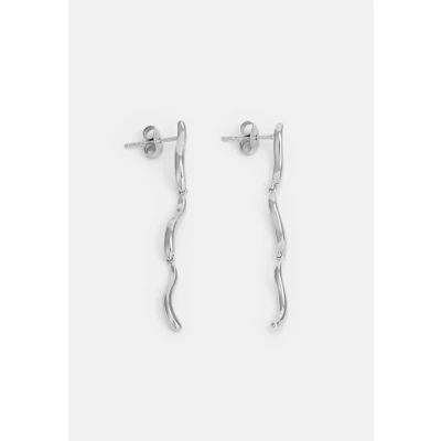 Afbeelding van Skagen SKJ1792040 Oorbellen silvercoloured, Dames, Maat: One Size, Silver coloured