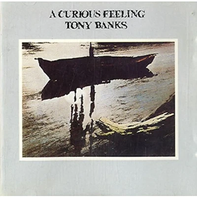 Afbeelding van Curious Feeling