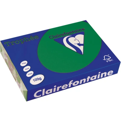 Afbeelding van Clairefontaine Trophée Intens, Gekleurd Papier, A4, 120 G, 250 Vel, Dennengroen Papier