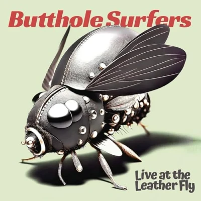 Afbeelding van Butthole Surfers Live at the Leather Fly (CD)
