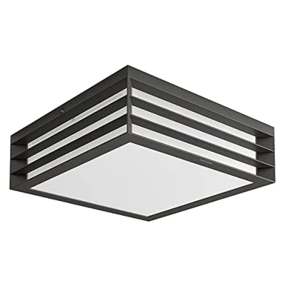 Afbeelding van Philips 1735093PN Moonshine plafondlamp, aluminium/kunststoffen, E27, antraciet, 26 x 8,1 cm