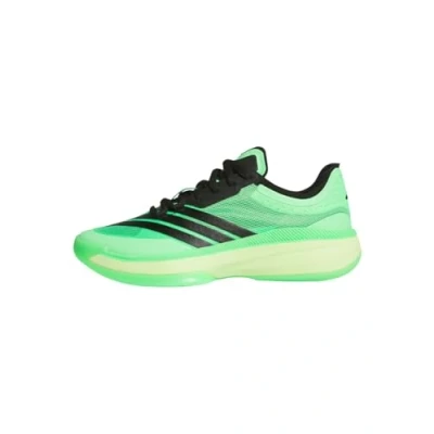 Afbeelding van adidas Performance Adizero Select 3.0 Unisex Basketbalschoenen, Maat: 42, Screaming green/core black/puls lime Textiel/ synthetisch