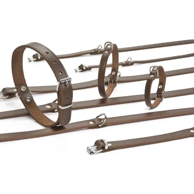 Afbeelding van Beeztees Halsband Hond Leer Bruin 27 33 cm x 12 mm
