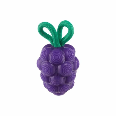 Afbeelding van Outward Hound by Planet Dog Dental Grapes 2 in 1 kauw en traktatiespeelgoed voor honden, paars, M