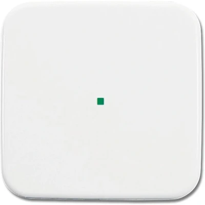 Afbeelding van 6220 0 0078 White Busch free@home