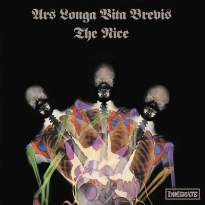 Afbeelding van Nice Ars Longa Vita Brevis (LP)
