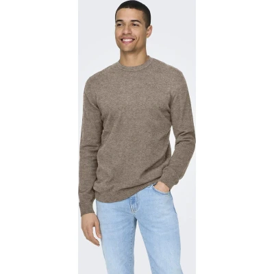 Afbeelding van ONLY&amp;SONS ONSLOUI REG 12 MEL CREW KNIT NOOS Heren Gebreide truien