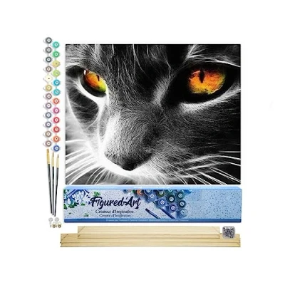 Afbeelding van Figured&#039;Art Schilderen op Nummer Volwassenen canvas Katten ogen Handwerk acrylverf Kit DIY Compleet 40x50cm met houten lijst