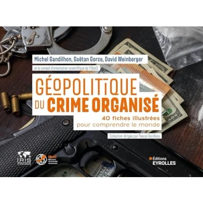 Afbeelding van GEOPOLITIQUE DU CRIME ORGANISE 4 FICHES ILLUSTREES POUR COMP