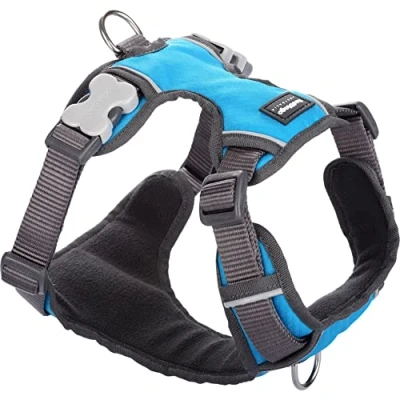 Afbeelding van Red Dingo Tuig Padded Harness body omvang 56 80cm DH PH TQ LG