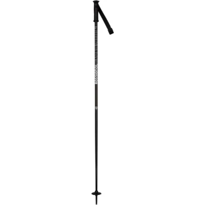 Afbeelding van Rossignol Electra Stokken Zilver 110 cm