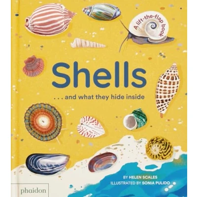 Afbeelding van Shells... and what they hide inside