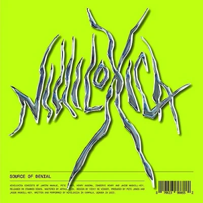 Afbeelding van Nihiloxica Source of Denial (LP)