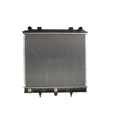 Afbeelding van Thermotec Radiateur D7I003TT