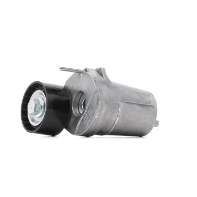 Afbeelding van Skf Spanrol (poly) V riem VKM 38339