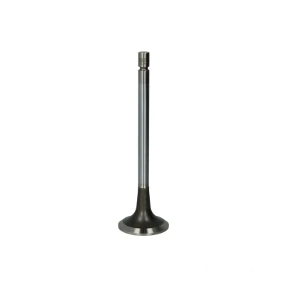 Afbeelding van TRW Engine Component Uitlaatklep 16205