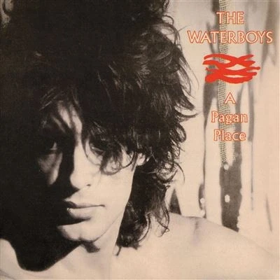 Afbeelding van Waterboys A Pagan Place (LP)