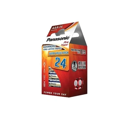 Image de PANASONIC LR03PPG 24PD