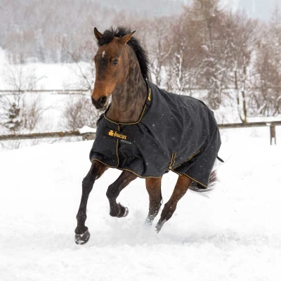 Image de Bucas Irish Turnout Big Neck 50g Noir/Or 135/183