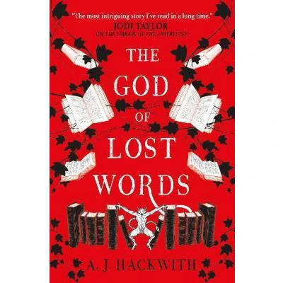 Afbeelding van The God of Lost Words