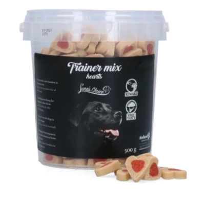 Afbeelding van Trainermix hartjes
