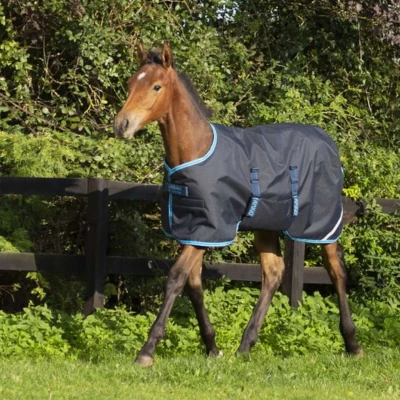 Afbeelding van Amigo Veulendeken Ripstop 200g Navy/ElecBlue 100/152