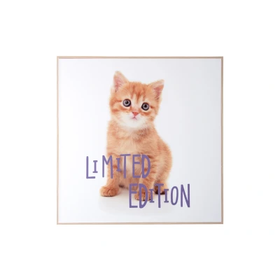 Afbeelding van Present Time Wall Art Kitten Limited Edition Multicolor