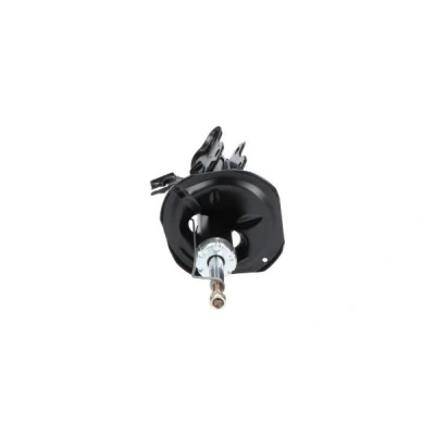Afbeelding van KAVO PARTS BBH 6875 Remslang Vooras rechts 623