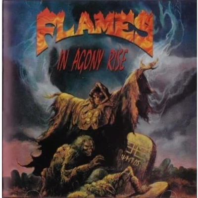 Afbeelding van Flames In Agony Rise (LP)