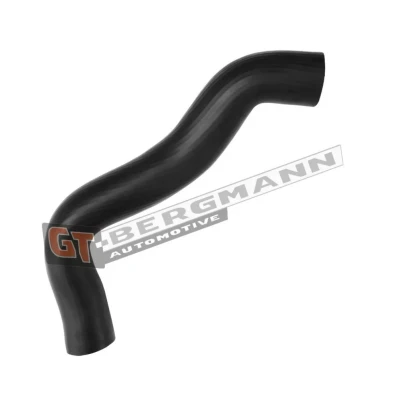 Afbeelding van GT BERGMANN GT52 541 Laadluchtslang Rubber met voering Van stof FIAT: Ducato III Platform / Chassis, Minibus,