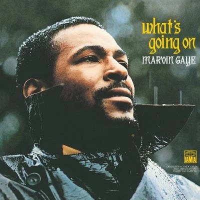 Image de Motown Marvin Gaye What&#039;s Going On Lp