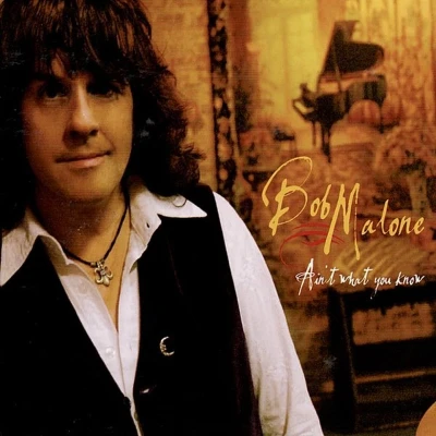 Afbeelding van Bob Malone Ain&#039;t What You Know (LP)