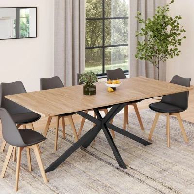 Image de Table à manger rectangle ALIX 10 personnes pied araignée bois et noir 200 cm