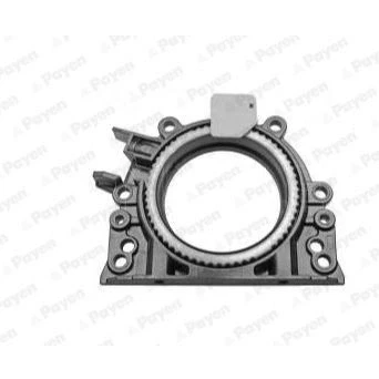 Afbeelding van PAYEN LK5019 Krukaskeerring PTFE (Polytetrafluorethylen)/ACM (Polyacryl Kautschuk) Geïntegreerde behuizing VOLKSWAGEN: Crafter 30 50 Van, Caddy 3