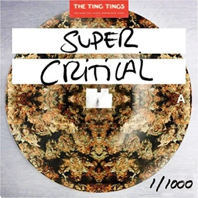 Afbeelding van The Ting Tings Super Critical (LP)